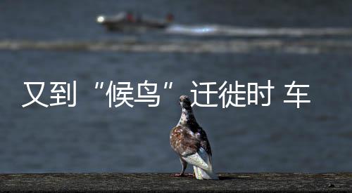 又到“候鳥”遷徙時 車站多舉措護航