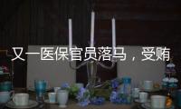 又一醫保官員落馬，受賄方式五花八門