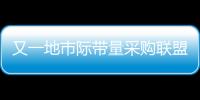 又一地市際帶量采購聯盟啟動！