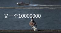 又一個10000000000元市場！投資百萬18個月回本？還帶火了一大批“演員”...