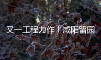 又一工程力作！咸陽留園大廈聯手富軒全屋門窗打造酒店