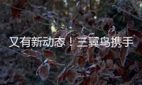 又有新動(dòng)態(tài)！三翼鳥(niǎo)攜手20家高定品牌開(kāi)展戰(zhàn)略合作