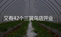 又有42個(gè)三翼鳥(niǎo)店開(kāi)業(yè)，用戶體驗(yàn)更方便了