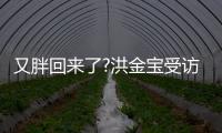 又胖回來了?洪金寶受訪大肚子搶鏡破生病謠言