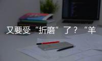 又要受“折磨”了？“羊了個羊”出新作