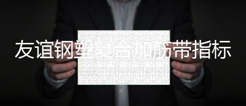 友誼鋼塑復合加筋帶指標