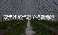 雙焦線路汽運價格暫穩運行