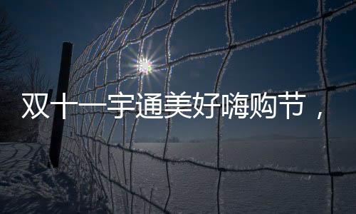 雙十一宇通美好嗨購節，好禮享不停