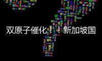 雙原子催化！！新加坡國立/清華/EPFL/A*STAR四校聯(lián)發(fā)Nature！ – 材料牛