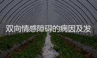 雙向情感障礙的病因及發病機智（雙向情感障礙的病因）