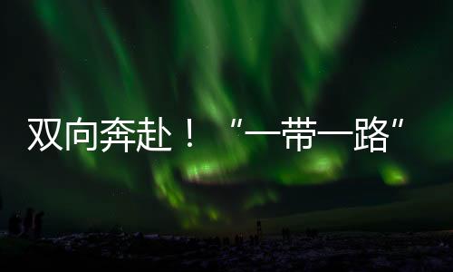 雙向奔赴！“一帶一路”架起教育“橋梁”