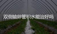 雙側輸卵管積水能治好嗎