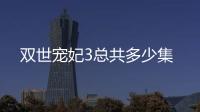 雙世寵妃3總共多少集