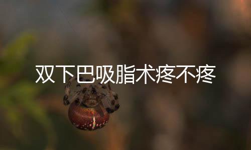 雙下巴吸脂術疼不疼