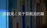 雙截龍（關于雙截龍的基本情況說明介紹）