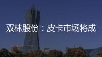 雙林股份：皮卡市場將成車市下一個風口