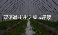 雙渠道共進步 集成吊頂線上線下不跛腳