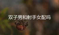 雙子男和射手女配嗎