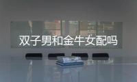 雙子男和金牛女配嗎