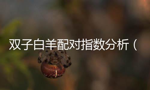 雙子白羊配對指數分析（雙子白羊）