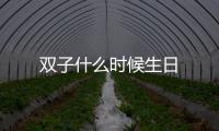 雙子什么時候生日
