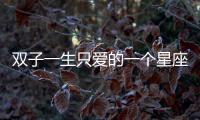 雙子一生只愛的一個星座