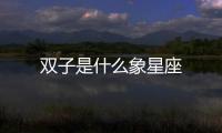 雙子是什么象星座