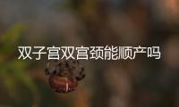 雙子宮雙宮頸能順產嗎