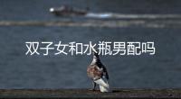 雙子女和水瓶男配嗎