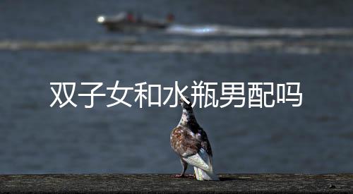 雙子女和水瓶男配嗎