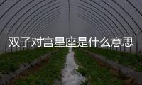 雙子對宮星座是什么意思 雙子對宮是哪個星座