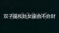 雙子座和處女座合不合財 雙子座和處女座合不合財運
