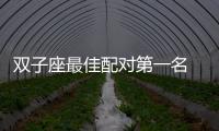 雙子座最佳配對第一名 雙子座最佳配對