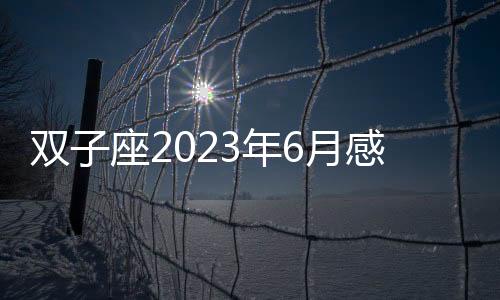 雙子座2023年6月感情運勢 2023年6月雙子座愛情運程詳解