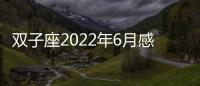 雙子座2022年6月感情運勢完整版 2022年6月雙子座感情運勢詳解