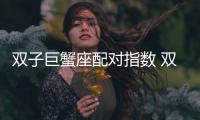 雙子巨蟹座配對指數 雙子巨蟹座配對星座