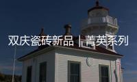 雙慶瓷磚新品｜菁英系列·含蓄而不失張力，煥發內涵高雅空間格局