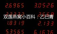 雙蓮燕窩小百科：乙巳青蛇年養(yǎng)生指南