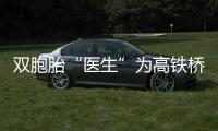 雙胞胎“醫(yī)生”為高鐵橋梁體檢