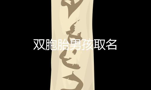 雙胞胎男孩取名