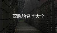 雙胞胎名字大全