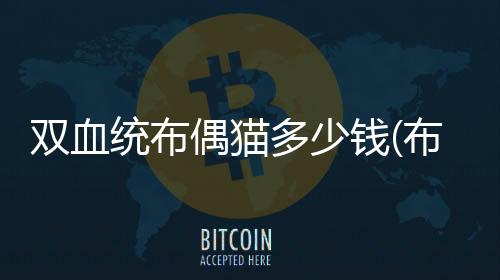 雙血統布偶貓多少錢(布偶貓有血統跟沒血統區別)