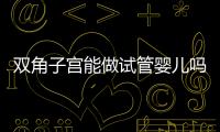 雙角子宮能做試管嬰兒嗎？可以，但這2大條件缺一不可