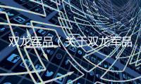 雙龍軍品（關于雙龍軍品的基本情況說明介紹）