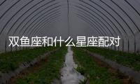 雙魚座和什么星座配對 雙魚座和什么星座配對率百分百