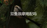 雙魚跟摩羯配嗎