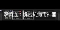 雙黃連：解密抗病毒神器，你真的了解它嗎？
