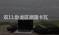 雙11:臥龍區德國卡瓦種植體和半全口種植牙的收費都降低啦!