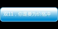 雙11，你是要為價格沖動買單？還是要價值消費