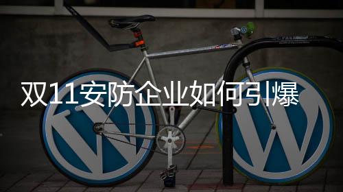 雙11安防企業如何引爆銷售奇跡 成民用市場黑馬?